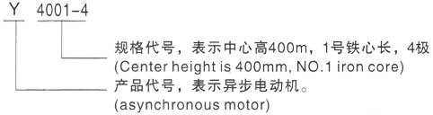 西安泰富西玛Y系列(H355-1000)高压YRKK5004-4/1000KW三相异步电机型号说明